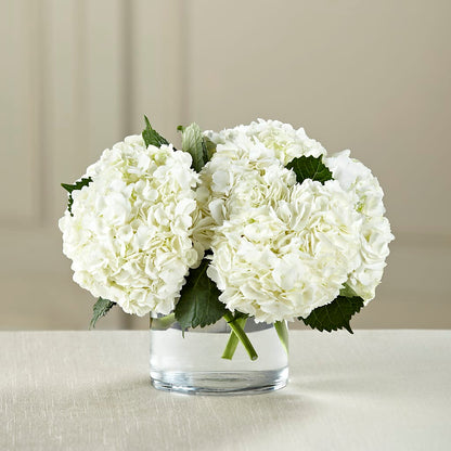 White Hydrangea Bouquet –  The Florist Ltd, Denton TX