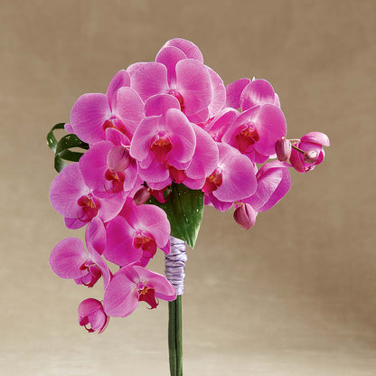 Glorious Bouquet –  The Florist Ltd, Denton TX